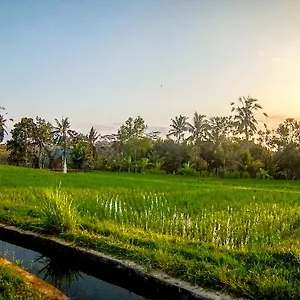 Paradise Villa Ubud (Bali)